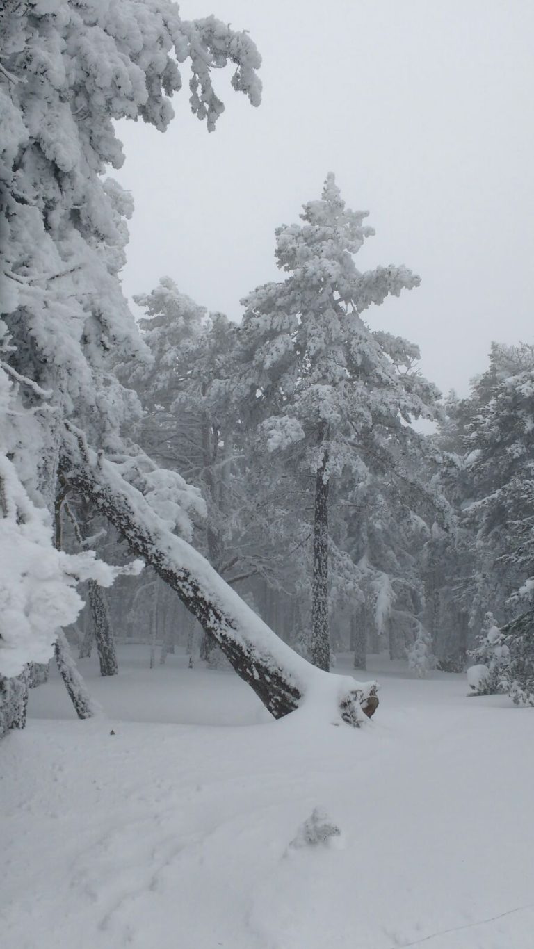 Imagen invernal de Fuentes